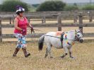 Image 16 in BROADLAND CARRIAGE DRIVING CLUB 22 JULY 2018