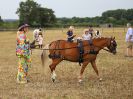 Image 17 in BROADLAND CARRIAGE DRIVING CLUB 22 JULY 2018