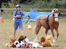 Image 21 in BROADLAND CARRIAGE DRIVING CLUB 22 JULY 2018