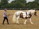 Image 25 in BROADLAND CARRIAGE DRIVING CLUB 22 JULY 2018