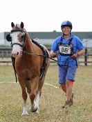 Image 27 in BROADLAND CARRIAGE DRIVING CLUB 22 JULY 2018