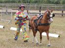 Image 28 in BROADLAND CARRIAGE DRIVING CLUB 22 JULY 2018