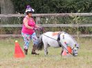 Image 31 in BROADLAND CARRIAGE DRIVING CLUB 22 JULY 2018