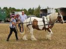 Image 34 in BROADLAND CARRIAGE DRIVING CLUB 22 JULY 2018