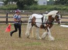 Image 35 in BROADLAND CARRIAGE DRIVING CLUB 22 JULY 2018