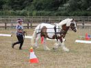 Image 36 in BROADLAND CARRIAGE DRIVING CLUB 22 JULY 2018