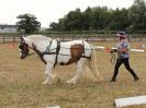 Image 37 in BROADLAND CARRIAGE DRIVING CLUB 22 JULY 2018