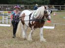 Image 38 in BROADLAND CARRIAGE DRIVING CLUB 22 JULY 2018
