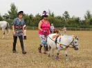 Image 39 in BROADLAND CARRIAGE DRIVING CLUB 22 JULY 2018