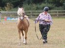 Image 4 in BROADLAND CARRIAGE DRIVING CLUB 22 JULY 2018