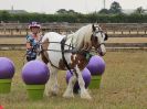 Image 40 in BROADLAND CARRIAGE DRIVING CLUB 22 JULY 2018