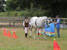 Image 41 in BROADLAND CARRIAGE DRIVING CLUB 22 JULY 2018