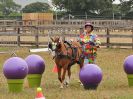 Image 46 in BROADLAND CARRIAGE DRIVING CLUB 22 JULY 2018