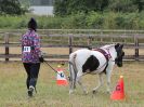 Image 49 in BROADLAND CARRIAGE DRIVING CLUB 22 JULY 2018