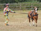 Image 5 in BROADLAND CARRIAGE DRIVING CLUB 22 JULY 2018