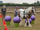 Image 50 in BROADLAND CARRIAGE DRIVING CLUB 22 JULY 2018