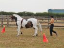 Image 51 in BROADLAND CARRIAGE DRIVING CLUB 22 JULY 2018