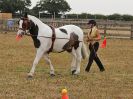 Image 52 in BROADLAND CARRIAGE DRIVING CLUB 22 JULY 2018