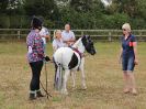 Image 53 in BROADLAND CARRIAGE DRIVING CLUB 22 JULY 2018