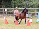 Image 54 in BROADLAND CARRIAGE DRIVING CLUB 22 JULY 2018