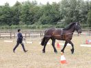 Image 58 in BROADLAND CARRIAGE DRIVING CLUB 22 JULY 2018