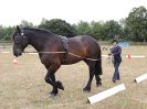 Image 59 in BROADLAND CARRIAGE DRIVING CLUB 22 JULY 2018