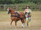 Image 6 in BROADLAND CARRIAGE DRIVING CLUB 22 JULY 2018