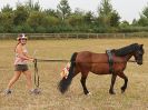 Image 61 in BROADLAND CARRIAGE DRIVING CLUB 22 JULY 2018