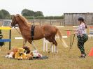 Image 66 in BROADLAND CARRIAGE DRIVING CLUB 22 JULY 2018