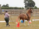 Image 67 in BROADLAND CARRIAGE DRIVING CLUB 22 JULY 2018