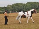 Image 68 in BROADLAND CARRIAGE DRIVING CLUB 22 JULY 2018