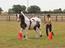 Image 70 in BROADLAND CARRIAGE DRIVING CLUB 22 JULY 2018