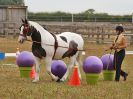 Image 71 in BROADLAND CARRIAGE DRIVING CLUB 22 JULY 2018