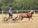 Image 74 in BROADLAND CARRIAGE DRIVING CLUB 22 JULY 2018