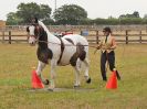 Image 75 in BROADLAND CARRIAGE DRIVING CLUB 22 JULY 2018