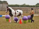 Image 76 in BROADLAND CARRIAGE DRIVING CLUB 22 JULY 2018