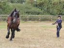 Image 78 in BROADLAND CARRIAGE DRIVING CLUB 22 JULY 2018