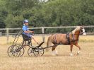 Image 79 in BROADLAND CARRIAGE DRIVING CLUB 22 JULY 2018