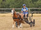 Image 80 in BROADLAND CARRIAGE DRIVING CLUB 22 JULY 2018