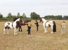 Image 81 in BROADLAND CARRIAGE DRIVING CLUB 22 JULY 2018