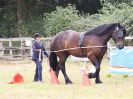 Image 82 in BROADLAND CARRIAGE DRIVING CLUB 22 JULY 2018