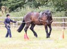 Image 83 in BROADLAND CARRIAGE DRIVING CLUB 22 JULY 2018