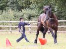 Image 84 in BROADLAND CARRIAGE DRIVING CLUB 22 JULY 2018