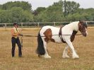 Image 87 in BROADLAND CARRIAGE DRIVING CLUB 22 JULY 2018