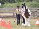 Image 96 in BROADLAND CARRIAGE DRIVING CLUB 22 JULY 2018