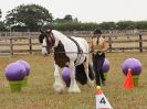 Image 99 in BROADLAND CARRIAGE DRIVING CLUB 22 JULY 2018