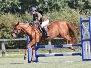 Image 130 in SOUTH NORFOLK PONY CLUB. ODE. 16 SEPT. 2018 THE GALLERY COMPRISES SHOW JUMPING, 60 70 AND 80, FOLLOWED BY 90 AND 100 IN THE CROSS COUNTRY PHASE.  GALLERY COMPLETE.