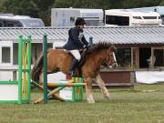 Image 16 in SOUTH NORFOLK PONY CLUB. ODE. 16 SEPT. 2018 THE GALLERY COMPRISES SHOW JUMPING, 60 70 AND 80, FOLLOWED BY 90 AND 100 IN THE CROSS COUNTRY PHASE. GALLERY COMPLETE.