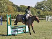 Image 164 in SOUTH NORFOLK PONY CLUB. ODE. 16 SEPT. 2018 THE GALLERY COMPRISES SHOW JUMPING, 60 70 AND 80, FOLLOWED BY 90 AND 100 IN THE CROSS COUNTRY PHASE. GALLERY COMPLETE.