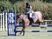 Image 166 in SOUTH NORFOLK PONY CLUB. ODE. 16 SEPT. 2018 THE GALLERY COMPRISES SHOW JUMPING, 60 70 AND 80, FOLLOWED BY 90 AND 100 IN THE CROSS COUNTRY PHASE.  GALLERY COMPLETE.